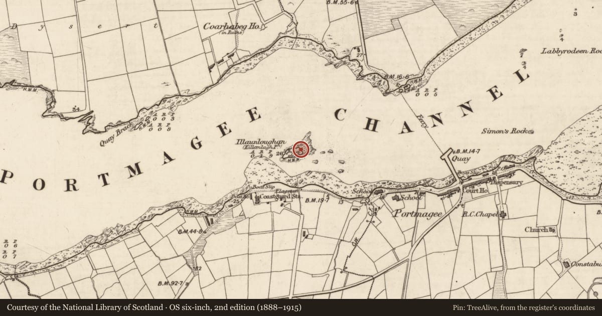 Ordnance Survey six-inch map, 2nd edition (1888–1915) covering the location of Cross, Illaunloughan, Portmagee, County Kerry, with a pin at the register's coordinates