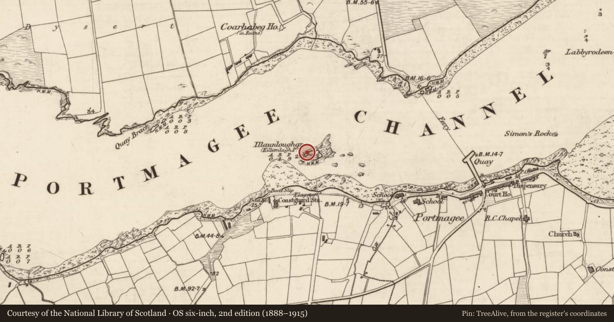 Ordnance Survey six-inch map, 2nd edition (1888–1915) covering the location of Hut site, Illaunloughan, Portmagee, County Kerry, with a pin at the register's coordinates