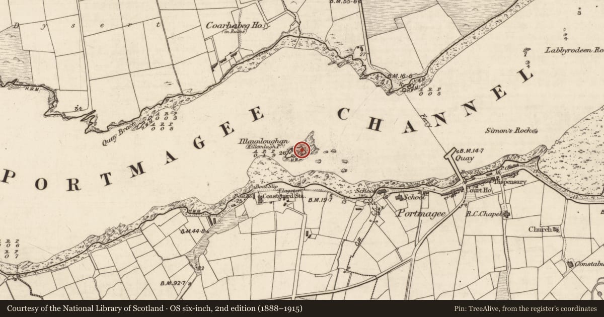 Ordnance Survey six-inch map, 2nd edition (1888–1915) covering the location of Leacht, Illaunloughan, Portmagee, County Kerry, with a pin at the register's coordinates