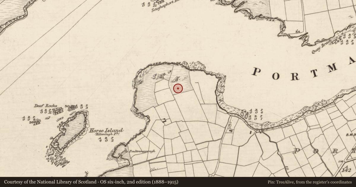 Ordnance Survey six-inch map, 2nd edition (1888–1915) covering the location of Children's burial ground, Reencaheragh, County Kerry, with a pin at the register's coordinates