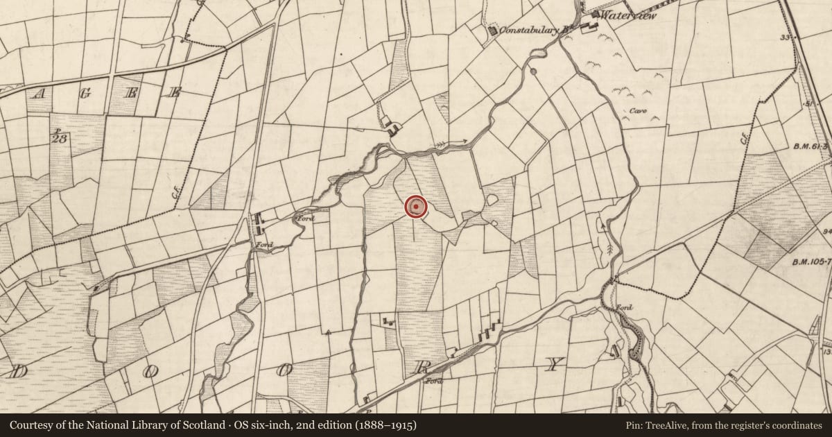 Ordnance Survey six-inch map, 2nd edition (1888–1915) covering the location of Ringfort - rath, Doory (Iveragh By., Portmagee Par.), County Kerry, with a pin at the register's coordinates