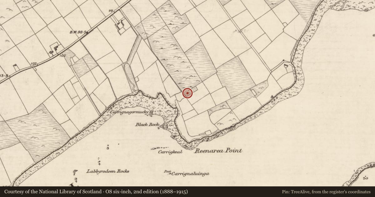 Ordnance Survey six-inch map, 2nd edition (1888–1915) covering the location of Fulacht fia, Coarha More, County Kerry, with a pin at the register's coordinates