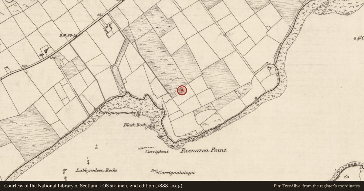 Ordnance Survey six-inch map, 2nd edition (1888–1915) covering the location of Hut site, Coarha More, County Kerry, with a pin at the register's coordinates