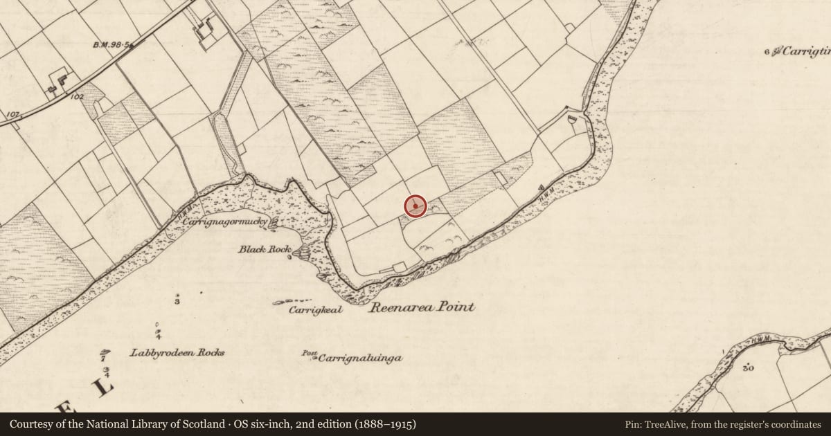 Ordnance Survey six-inch map, 2nd edition (1888–1915) covering the location of Burnt spread, Coarha More, County Kerry, with a pin at the register's coordinates