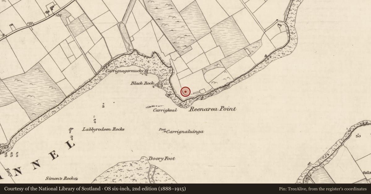 Ordnance Survey six-inch map, 2nd edition (1888–1915) covering the location of Ringfort - rath, Coarha More, County Kerry, with a pin at the register's coordinates