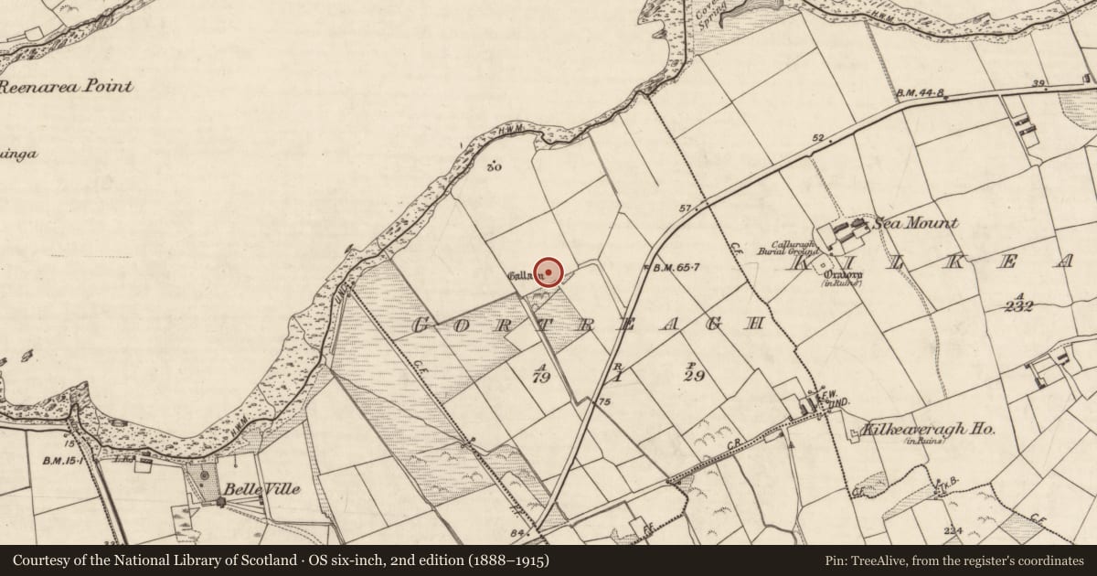 Ordnance Survey six-inch map, 2nd edition (1888–1915) covering the location of Standing stone, Gortreagh, County Kerry, with a pin at the register's coordinates