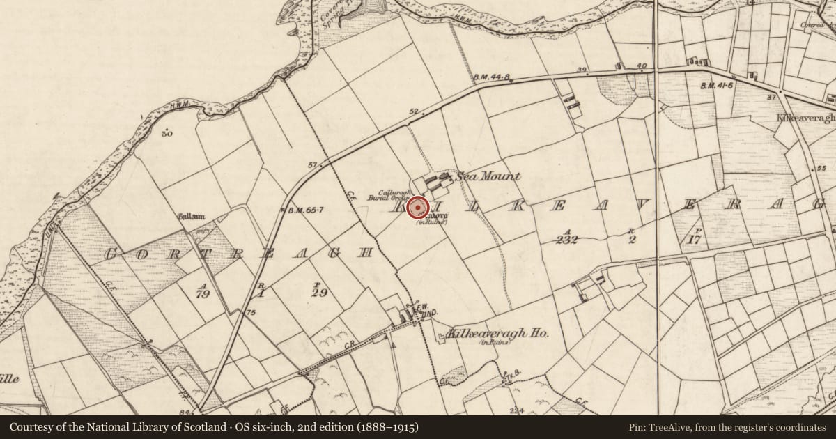 Ordnance Survey six-inch map, 2nd edition (1888–1915) covering the location of Ecclesiastical enclosure, Kilkeaveragh, County Kerry, with a pin at the register's coordinates