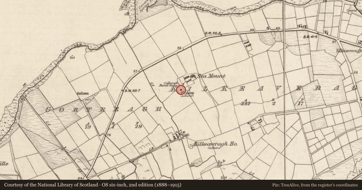 Ordnance Survey six-inch map, 2nd edition (1888–1915) covering the location of Church, Kilkeaveragh, County Kerry, with a pin at the register's coordinates