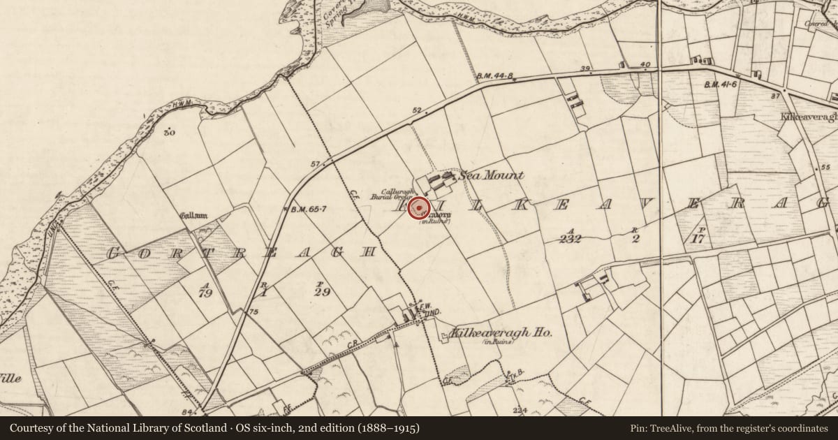 Ordnance Survey six-inch map, 2nd edition (1888–1915) covering the location of Children's burial ground, Kilkeaveragh, County Kerry, with a pin at the register's coordinates