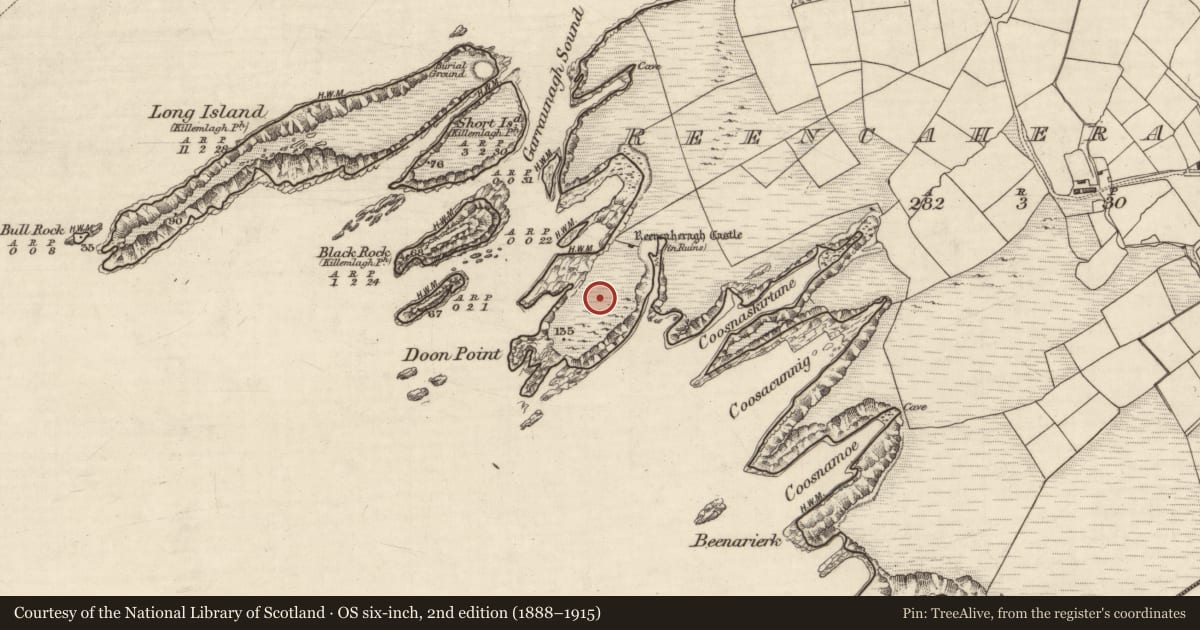 Ordnance Survey six-inch map, 2nd edition (1888–1915) covering the location of Promontory fort - coastal, Reencaheragh, County Kerry, with a pin at the register's coordinates