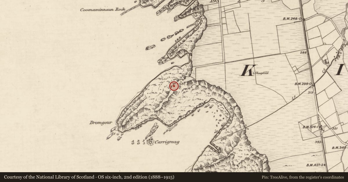 Ordnance Survey six-inch map, 2nd edition (1888–1915) covering the location of Promontory fort - coastal, Foilnageragh, County Kerry, with a pin at the register's coordinates