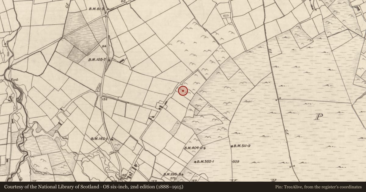 Ordnance Survey six-inch map, 2nd edition (1888–1915) covering the location of Souterrain, Lateeve, County Kerry, with a pin at the register's coordinates
