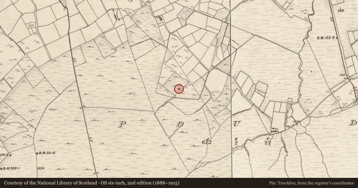 Ordnance Survey six-inch map, 2nd edition (1888–1915) covering the location of Cist, Pound, County Kerry, with a pin at the register's coordinates