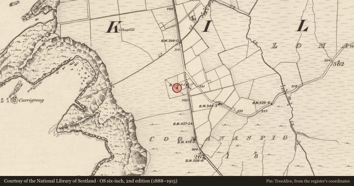 Ordnance Survey six-inch map, 2nd edition (1888–1915) covering the location of Standing stone, Coomanaspig, County Kerry, with a pin at the register's coordinates