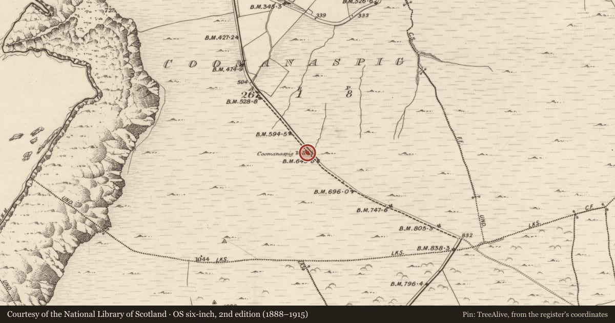 Ordnance Survey six-inch map, 2nd edition (1888–1915) covering the location of Cross-slab, Coomanaspig, County Kerry, with a pin at the register's coordinates