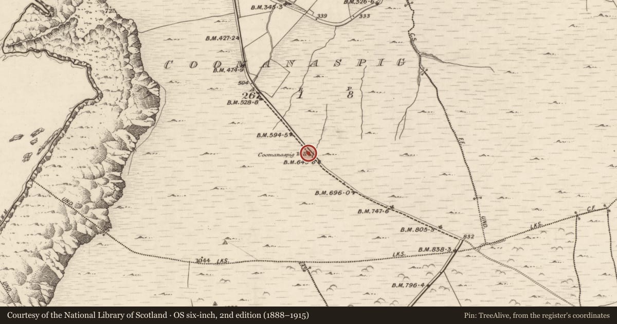 Ordnance Survey six-inch map, 2nd edition (1888–1915) covering the location of Cross-slab, Coomanaspig, County Kerry, with a pin at the register's coordinates