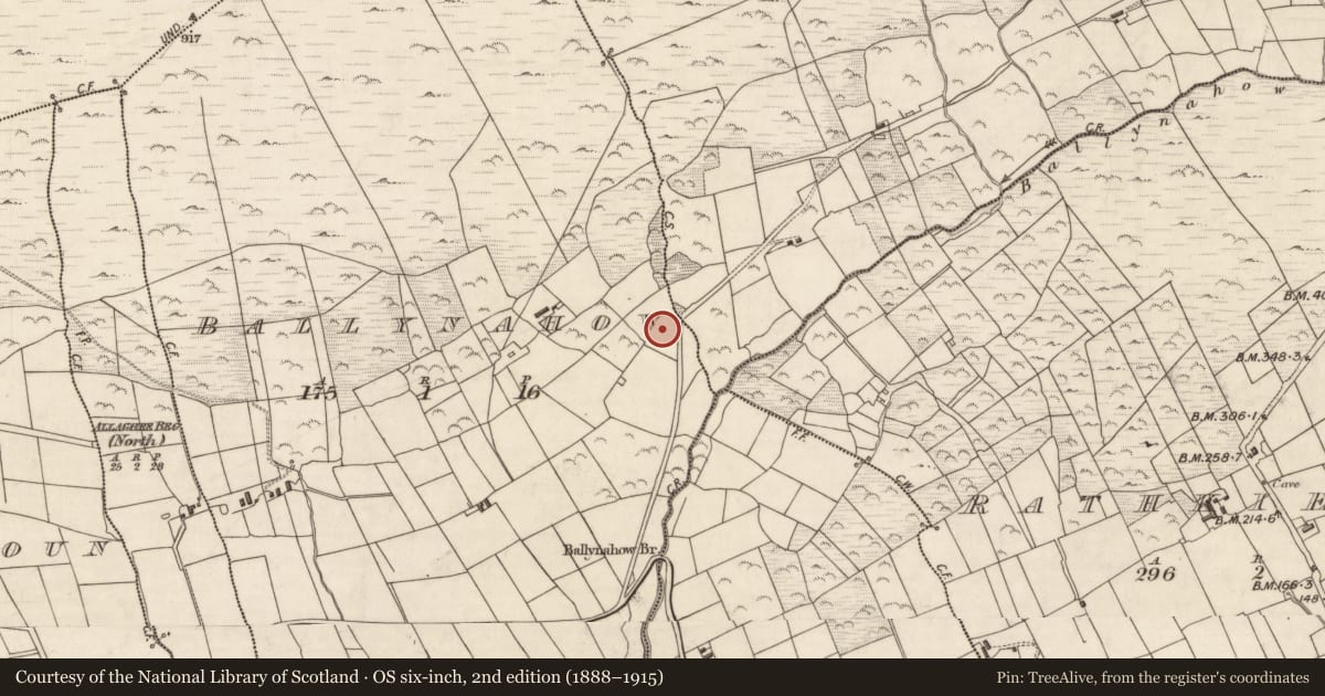 Ordnance Survey six-inch map, 2nd edition (1888–1915) covering the location of Souterrain, Baile Na Habha (TC Fhionáin), County Kerry, with a pin at the register's coordinates