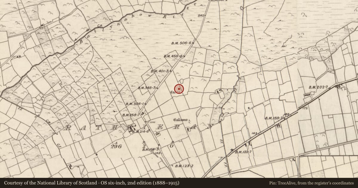 Ordnance Survey six-inch map, 2nd edition (1888–1915) covering the location of Ringfort - rath, Ráth Ciaráin, County Kerry, with a pin at the register's coordinates