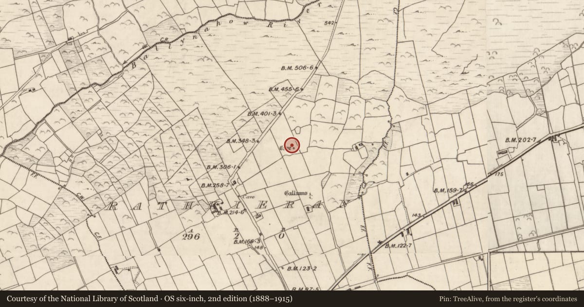 Ordnance Survey six-inch map, 2nd edition (1888–1915) covering the location of Souterrain, Ráth Ciaráin, County Kerry, with a pin at the register's coordinates
