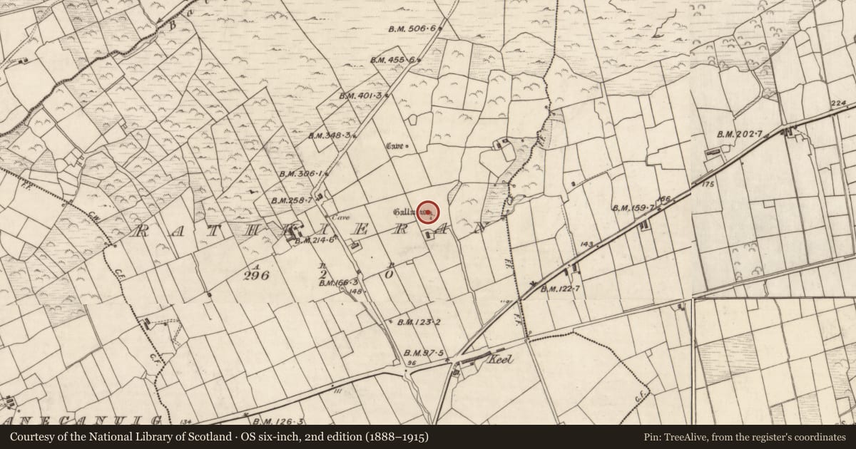 Ordnance Survey six-inch map, 2nd edition (1888–1915) covering the location of Standing stone - pair, Ráth Ciaráin, County Kerry, with a pin at the register's coordinates