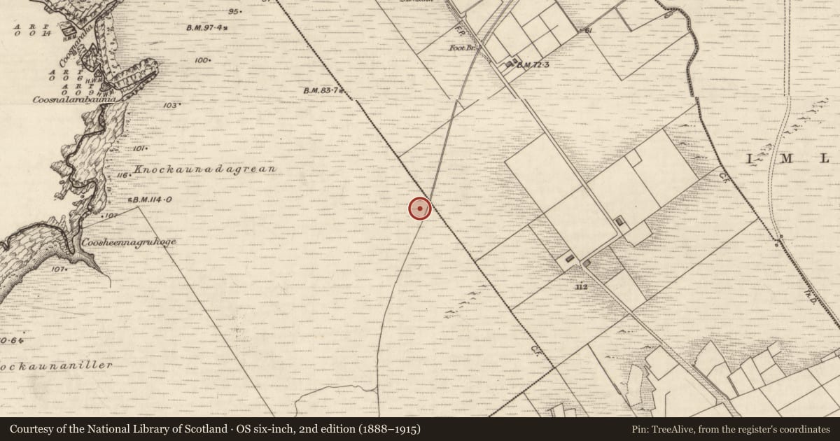 Ordnance Survey six-inch map, 2nd edition (1888–1915) covering the location of Field system, County Kerry, with a pin at the register's coordinates