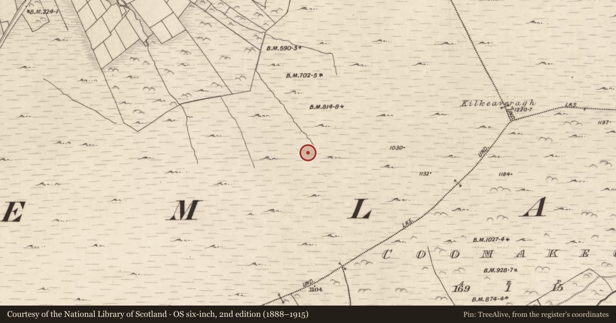 Ordnance Survey six-inch map, 2nd edition (1888–1915) covering the location of Ritual site - holy well, Lateeve, County Kerry, with a pin at the register's coordinates