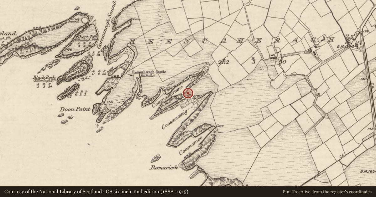 Ordnance Survey six-inch map, 2nd edition (1888–1915) covering the location of Promontory fort - coastal, Reencaheragh, County Kerry, with a pin at the register's coordinates
