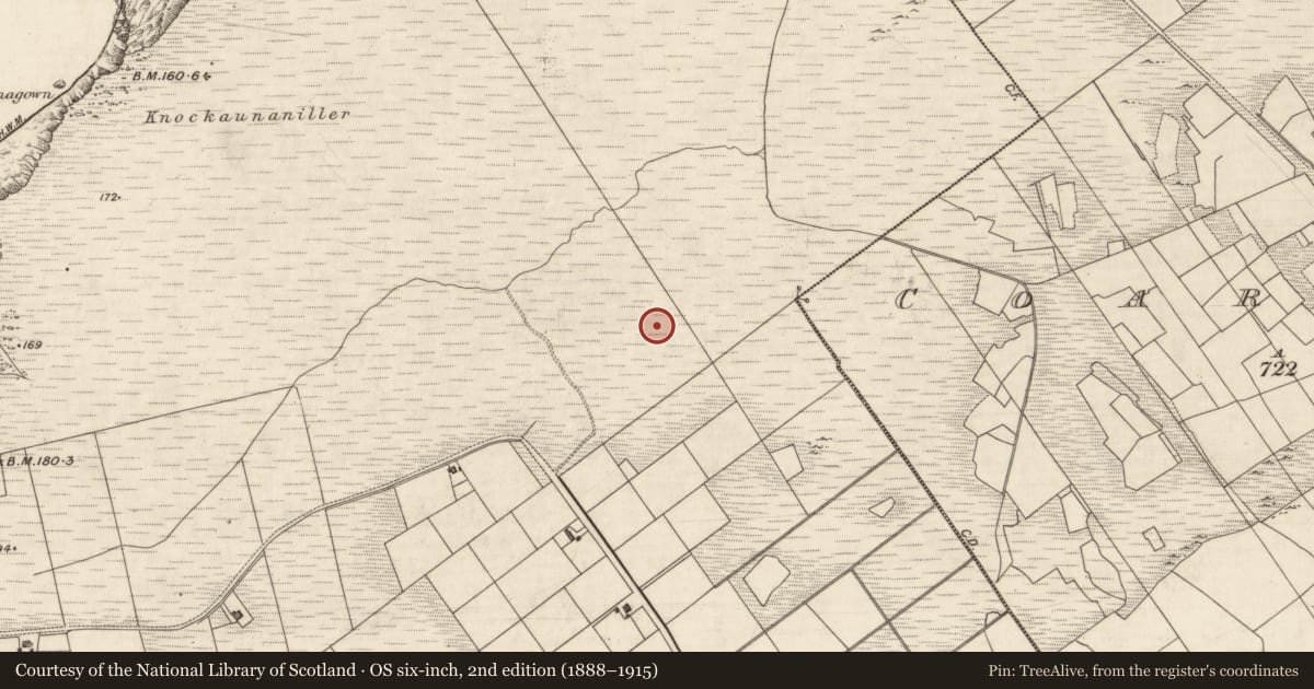 Ordnance Survey six-inch map, 2nd edition (1888–1915) covering the location of Road - gravel/stone trackway - peatland, Bray, County Kerry, with a pin at the register's coordinates