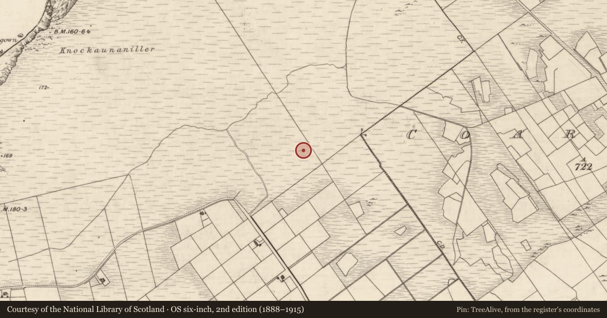 Ordnance Survey six-inch map, 2nd edition (1888–1915) covering the location of Road - gravel/stone trackway - peatland, Bray, County Kerry, with a pin at the register's coordinates