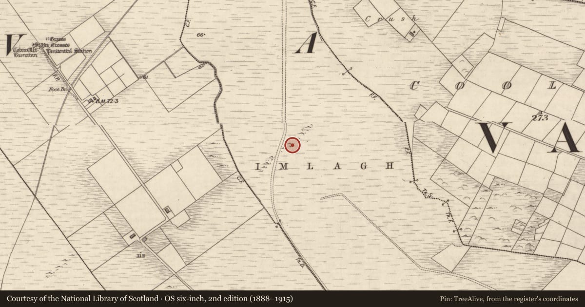 Ordnance Survey six-inch map, 2nd edition (1888–1915) covering the location of Hut site, Coarha More, County Kerry, with a pin at the register's coordinates