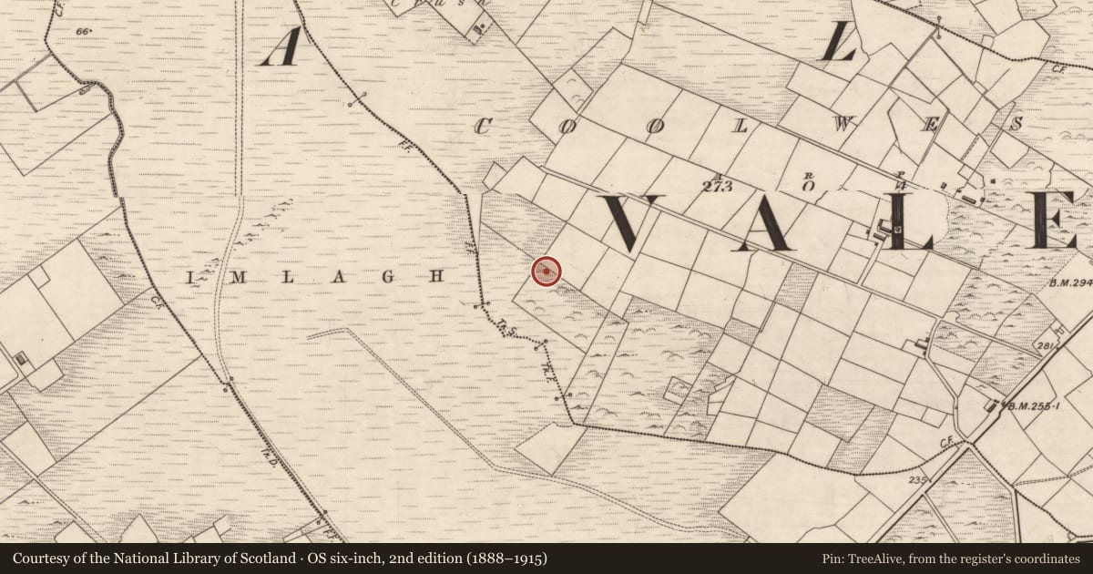 Ordnance Survey six-inch map, 2nd edition (1888–1915) covering the location of Road - gravel/stone trackway - peatland, Cool West, County Kerry, with a pin at the register's coordinates