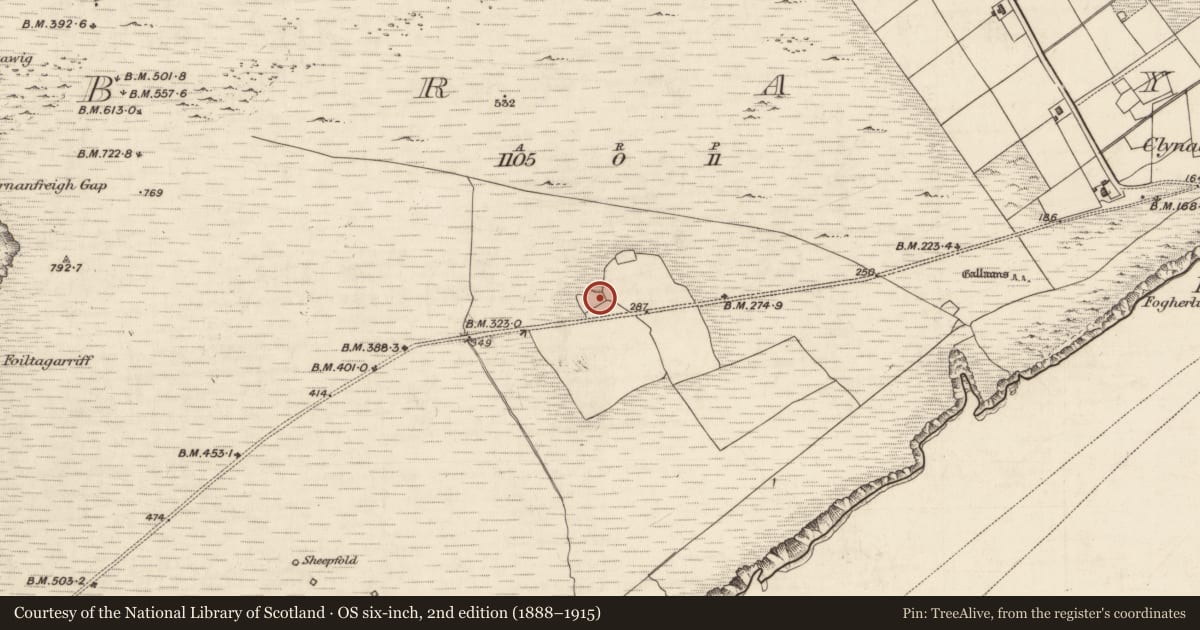 Ordnance Survey six-inch map, 2nd edition (1888–1915) covering the location of House - indeterminate date, Bray, County Kerry, with a pin at the register's coordinates