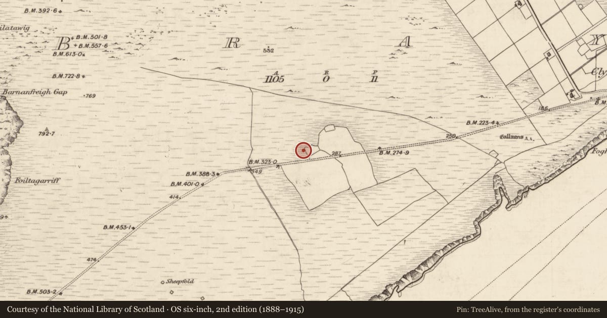 Ordnance Survey six-inch map, 2nd edition (1888–1915) covering the location of House - medieval, Bray, County Kerry, with a pin at the register's coordinates