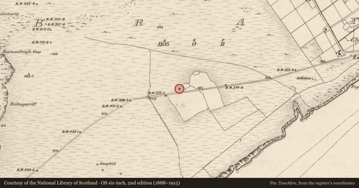 Ordnance Survey six-inch map, 2nd edition (1888–1915) covering the location of House - medieval, Bray, County Kerry, with a pin at the register's coordinates