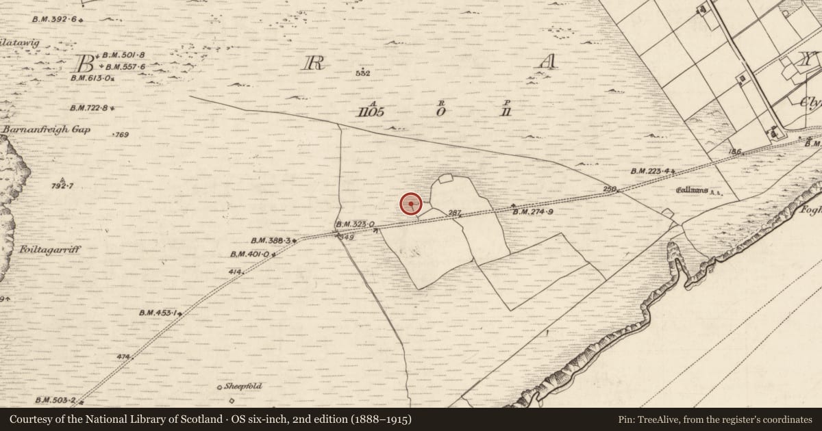 Ordnance Survey six-inch map, 2nd edition (1888–1915) covering the location of House - medieval, Bray, County Kerry, with a pin at the register's coordinates