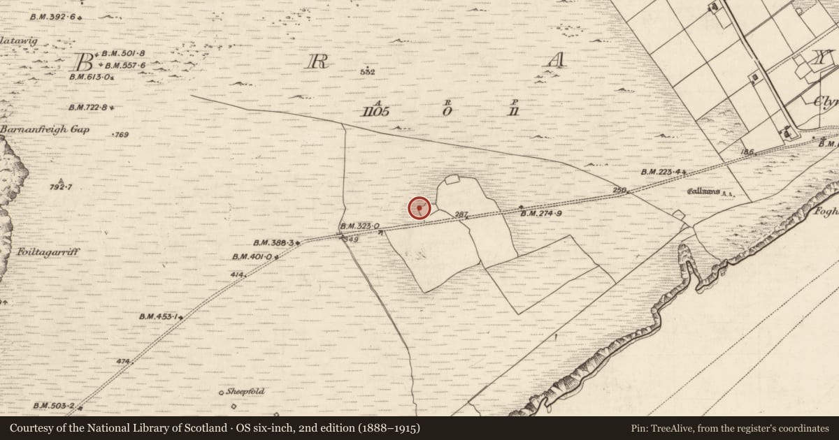 Ordnance Survey six-inch map, 2nd edition (1888–1915) covering the location of House - medieval, Bray, County Kerry, with a pin at the register's coordinates