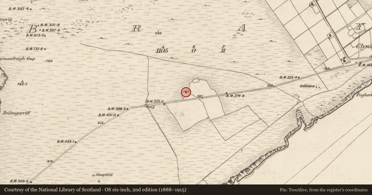 Ordnance Survey six-inch map, 2nd edition (1888–1915) covering the location of House - medieval, Bray, County Kerry, with a pin at the register's coordinates