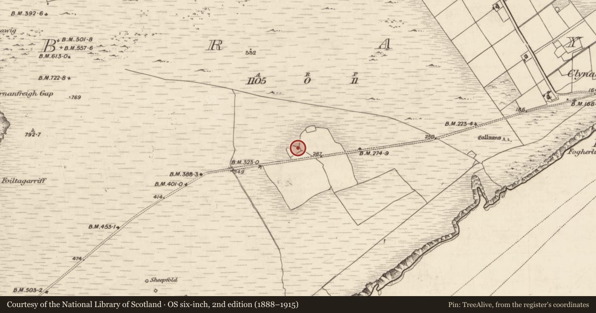 Ordnance Survey six-inch map, 2nd edition (1888–1915) covering the location of House - medieval, Bray, County Kerry, with a pin at the register's coordinates