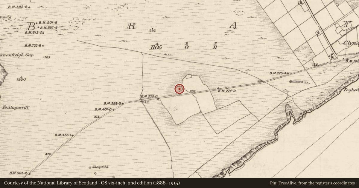 Ordnance Survey six-inch map, 2nd edition (1888–1915) covering the location of Souterrain, Bray, County Kerry, with a pin at the register's coordinates