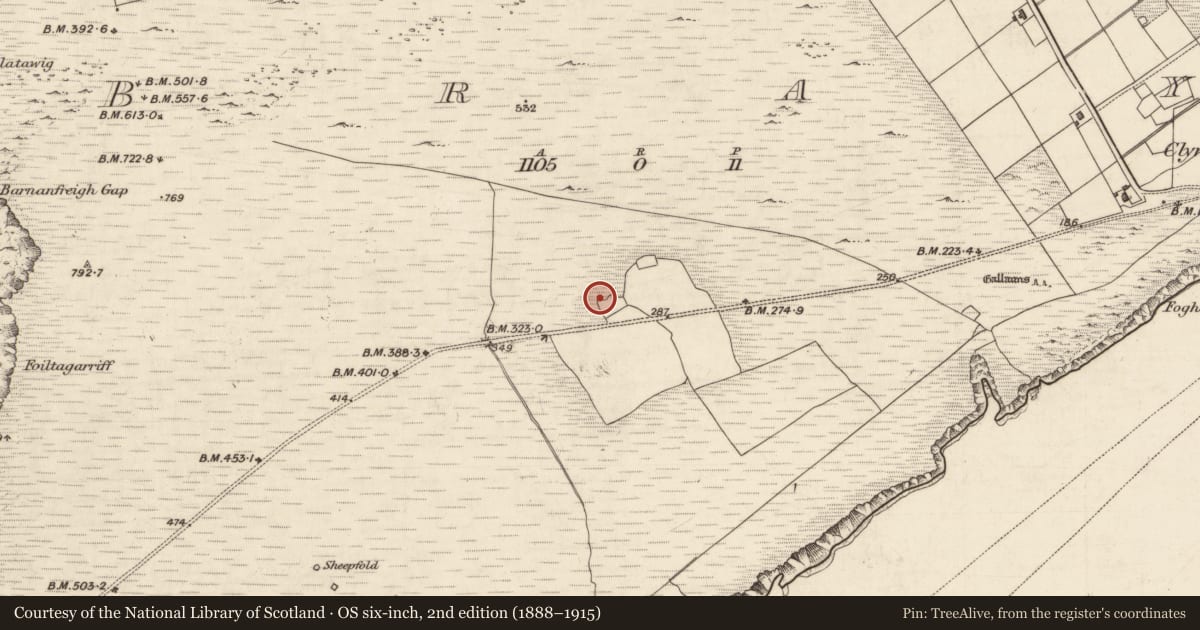 Ordnance Survey six-inch map, 2nd edition (1888–1915) covering the location of House - medieval, Bray, County Kerry, with a pin at the register's coordinates
