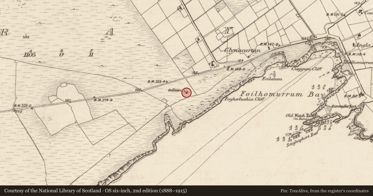 Ordnance Survey six-inch map, 2nd edition (1888–1915) covering the location of Anomalous stone group, Bray, County Kerry, with a pin at the register's coordinates