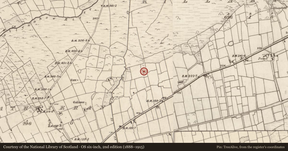 Ordnance Survey six-inch map, 2nd edition (1888–1915) covering the location of Standing stone, Cill Buaine, County Kerry, with a pin at the register's coordinates