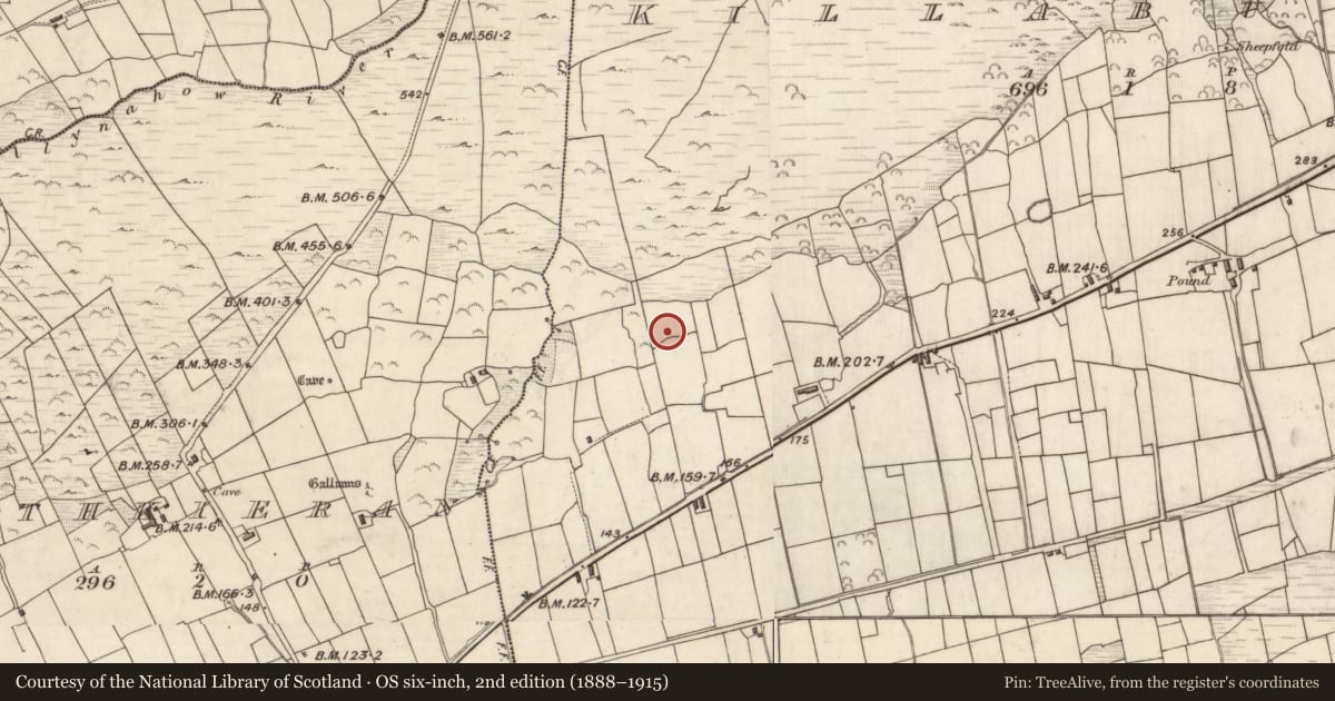 Ordnance Survey six-inch map, 2nd edition (1888–1915) covering the location of Megalithic structure, Cill Buaine, County Kerry, with a pin at the register's coordinates