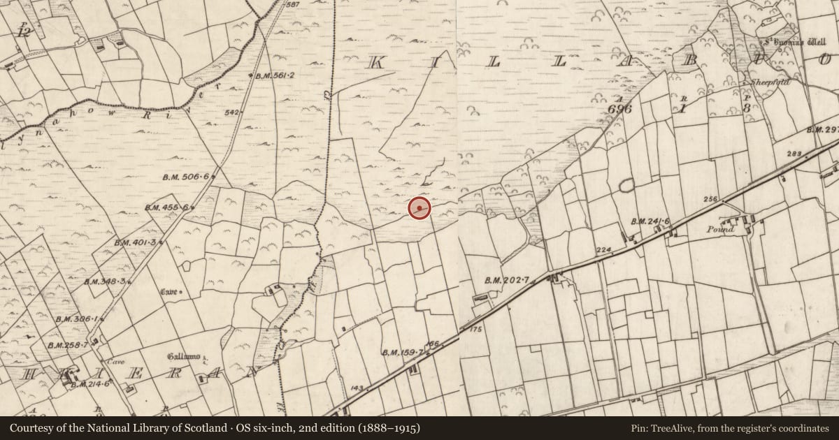 Ordnance Survey six-inch map, 2nd edition (1888–1915) covering the location of Enclosure, Cill Buaine, County Kerry, with a pin at the register's coordinates