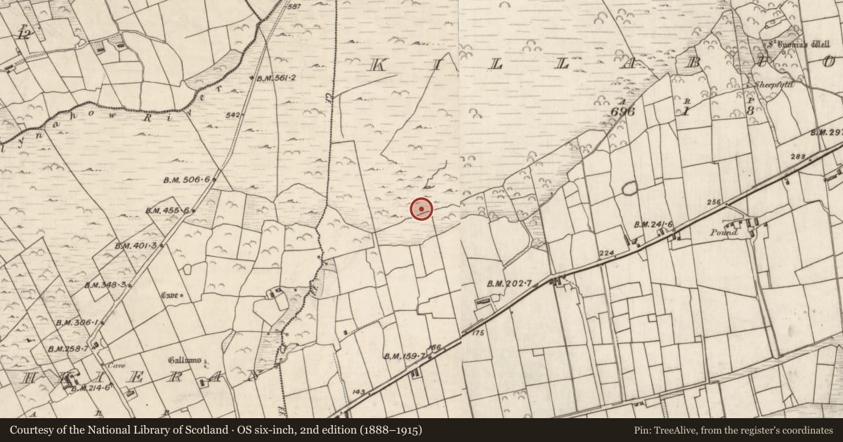Ordnance Survey six-inch map, 2nd edition (1888–1915) covering the location of Hut site, Cill Buaine, County Kerry, with a pin at the register's coordinates
