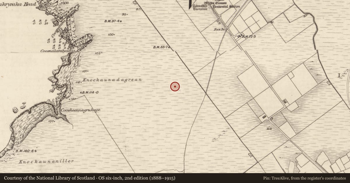 Ordnance Survey six-inch map, 2nd edition (1888–1915) covering the location of Road - road/trackway, Bray, County Kerry, with a pin at the register's coordinates