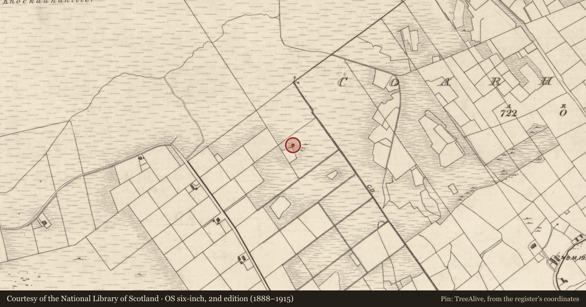 Ordnance Survey six-inch map, 2nd edition (1888–1915) covering the location of Road - road/trackway, Bray, County Kerry, with a pin at the register's coordinates