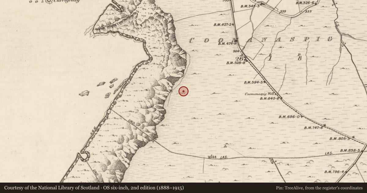 Ordnance Survey six-inch map, 2nd edition (1888–1915) covering the location of Hut site, Coomanaspig, County Kerry, with a pin at the register's coordinates