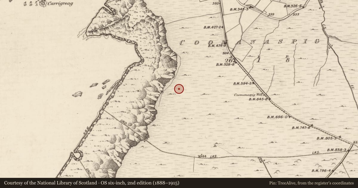 Ordnance Survey six-inch map, 2nd edition (1888–1915) covering the location of Hut site, Coomanaspig, County Kerry, with a pin at the register's coordinates