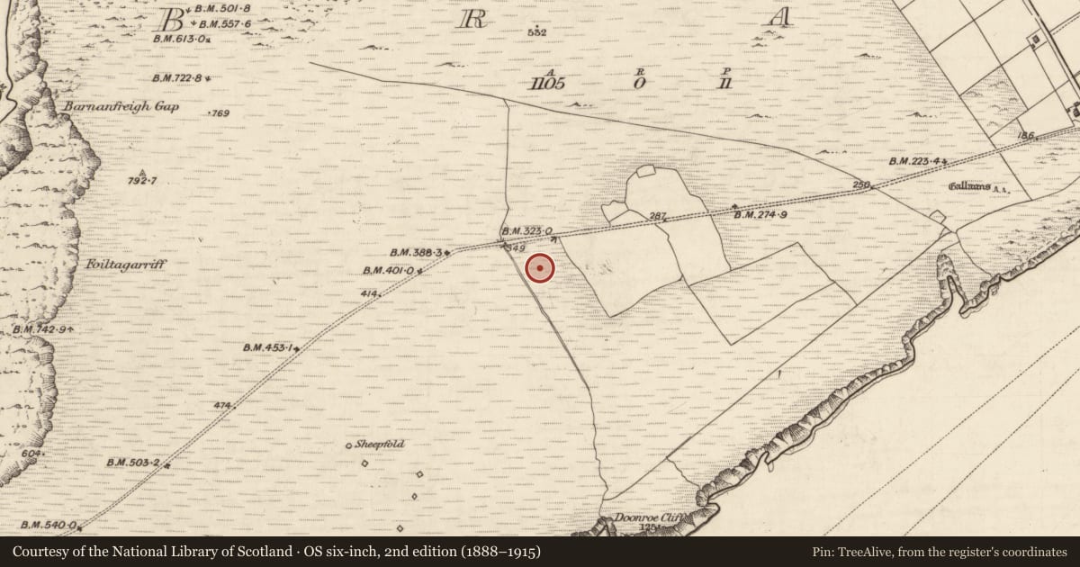 Ordnance Survey six-inch map, 2nd edition (1888–1915) covering the location of Hut site, Bray, County Kerry, with a pin at the register's coordinates